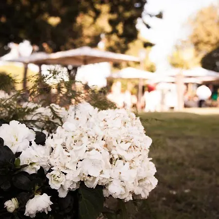 Strampelli Bed & Breakfast Pomezia