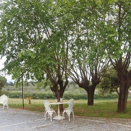 Bed & Breakfast Strampelli