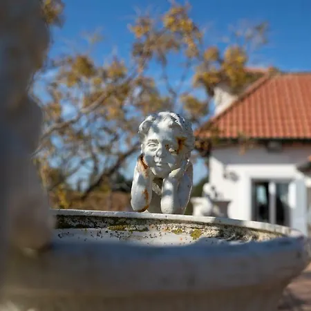 Strampelli 4* Pomezia