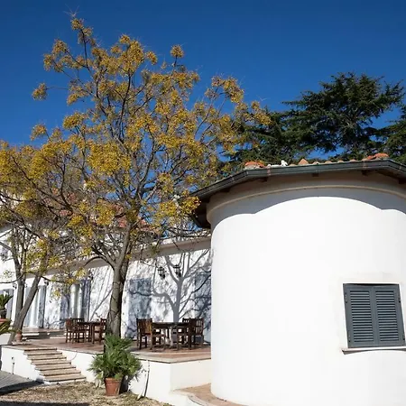 Strampelli Bed & Breakfast Pomezia